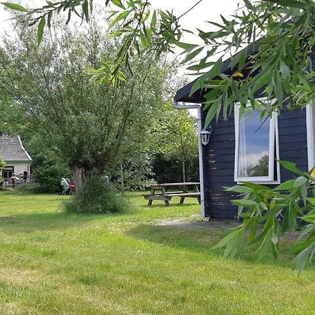 Chalet Egmond Egmond aan den Hoef Eksteriør billede