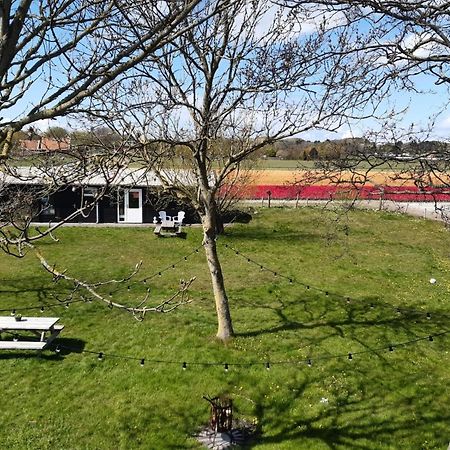 Chalet Egmond Egmond aan den Hoef Eksteriør billede