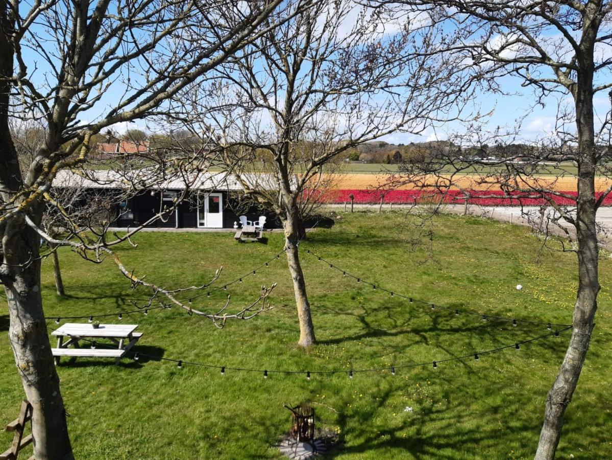 Chalet Egmond Egmond aan den Hoef Eksteriør billede