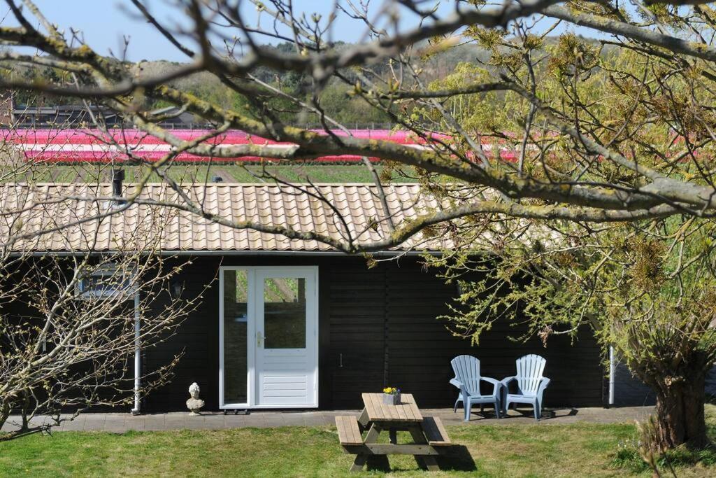 Chalet Egmond Egmond aan den Hoef Eksteriør billede
