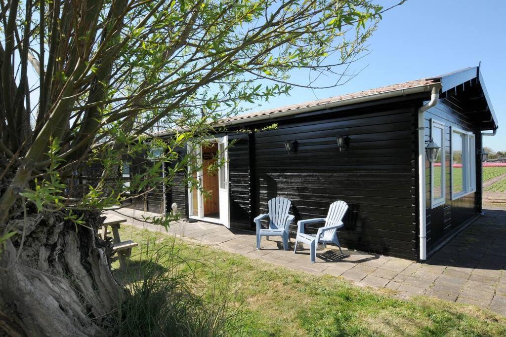 Chalet Egmond Egmond aan den Hoef Eksteriør billede